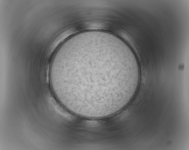 X0000112851227200909111437