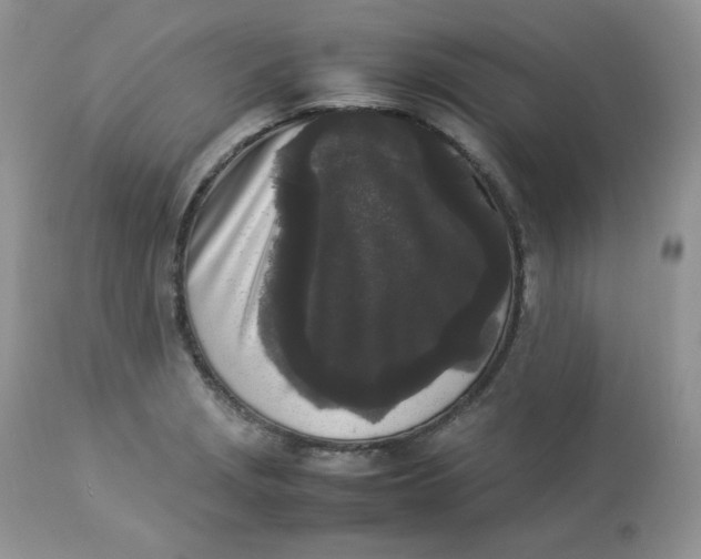 X0000112851229200909111437