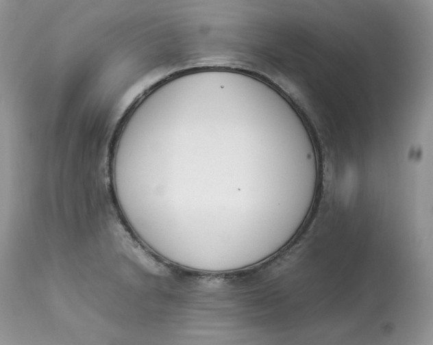 X0000112851230200909111437