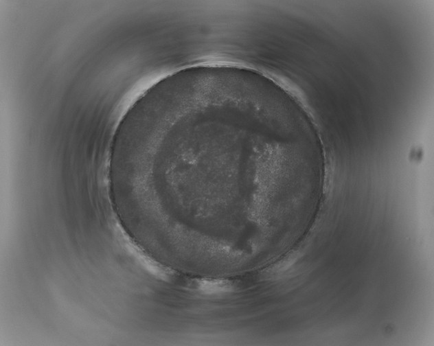 X0000112851231200909111437