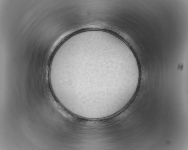 X0000112851232200909111437