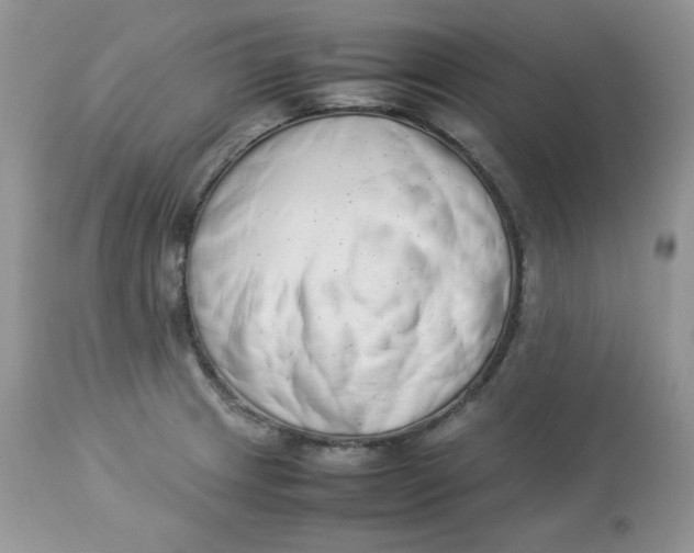 X0000112851233200909111437