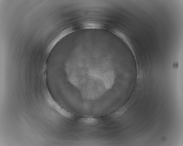 X0000112851235200909111437