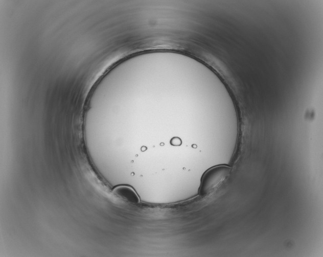 X0000112851236200909111438