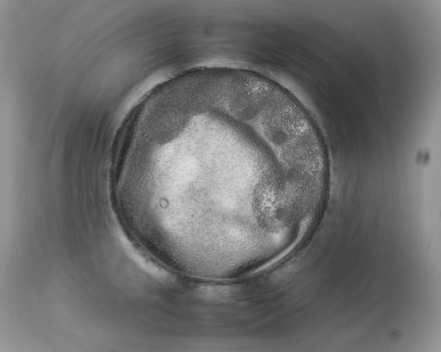 X0000112851237200909111438