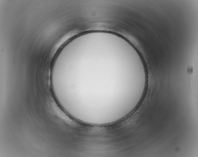 X0000112851238200909111438