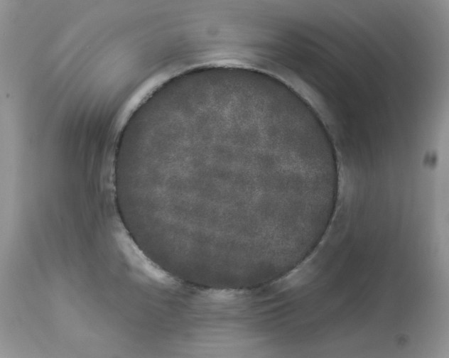 X0000112851240200909111438