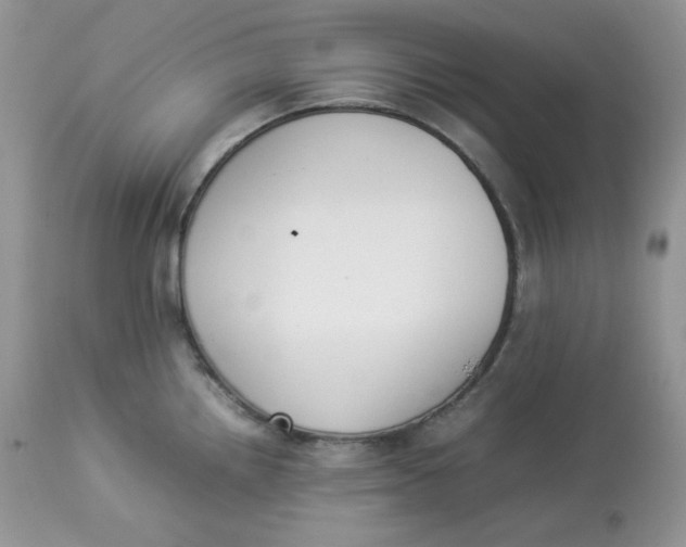 X0000112851242200909111438