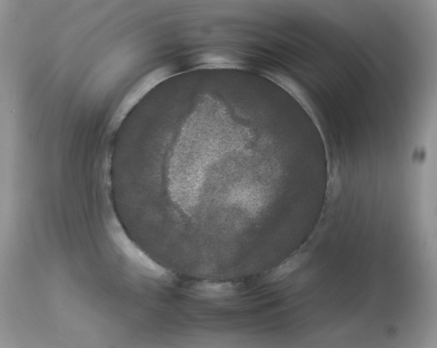 X0000112851243200909111438