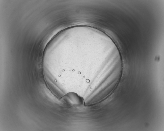 X0000112851244200909111438