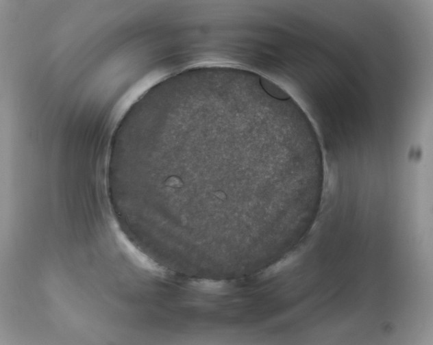 X0000112851245200909111438