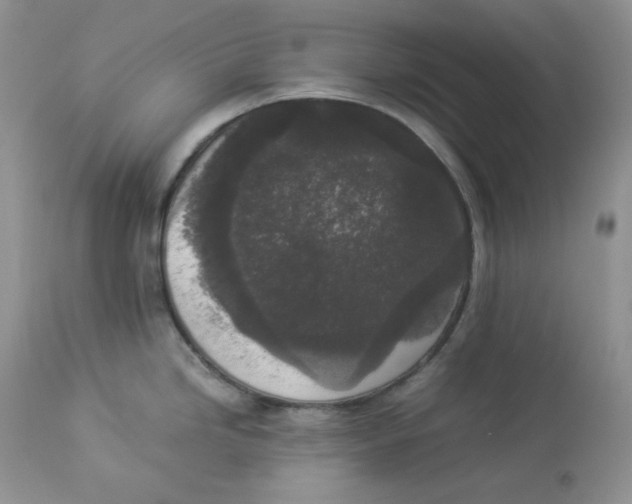 X0000112851246200909111438