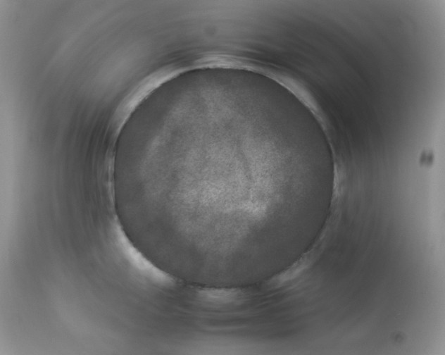 X0000112851247200909111438