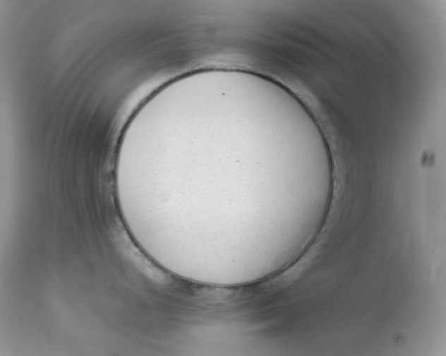 X0000112851248200909111438