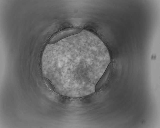 X0000112851249200909111437