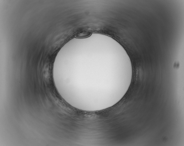 X0000112851250200909111437