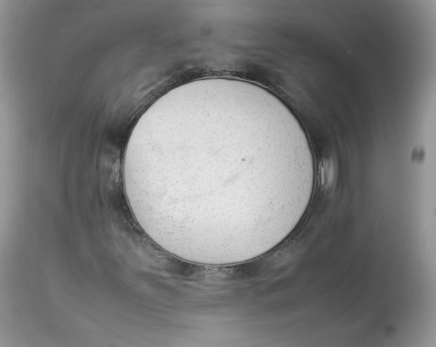 X0000112851251200909111437