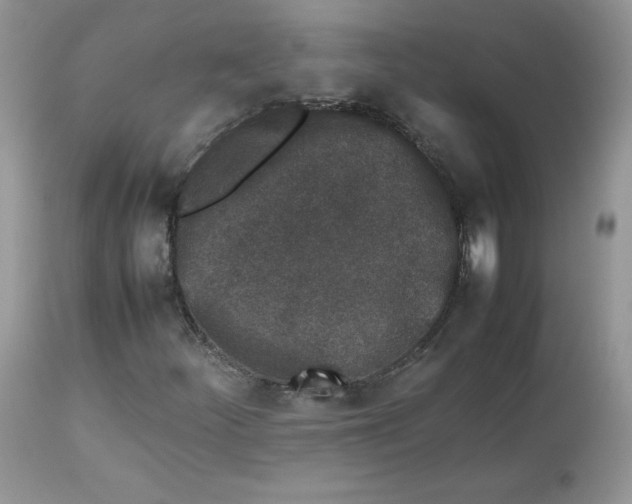 X0000112851252200909111437