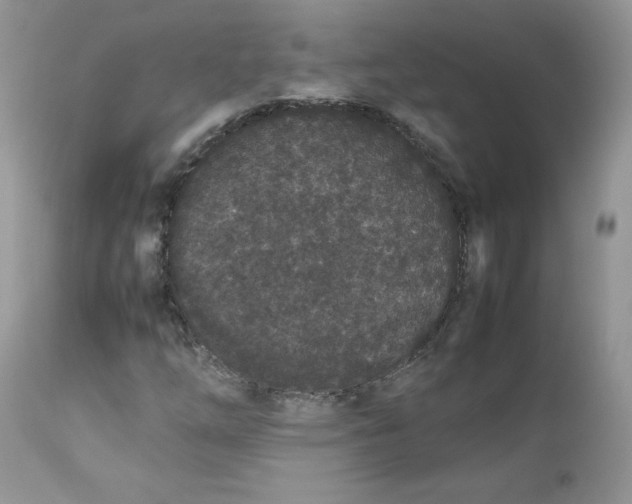 X0000112851254200909111437