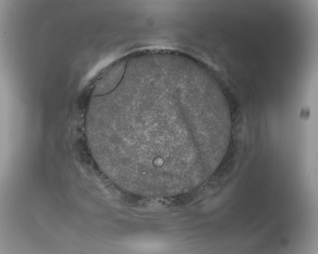 X0000112851255200909111437