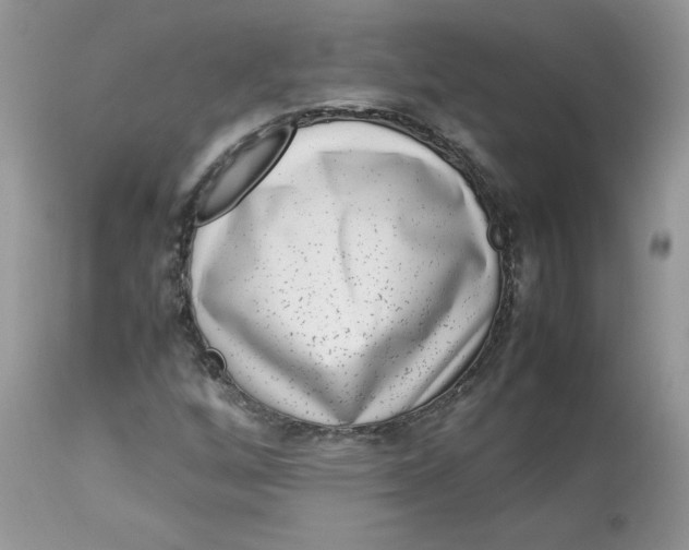 X0000112851256200909111437