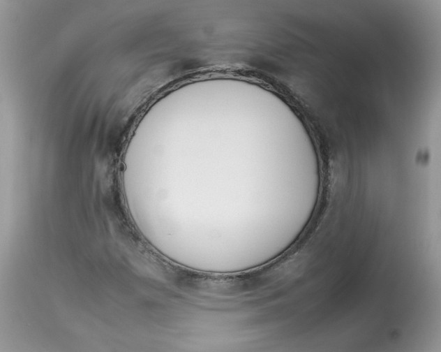 X0000112851257200909111437