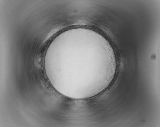 X0000112851258200909111437