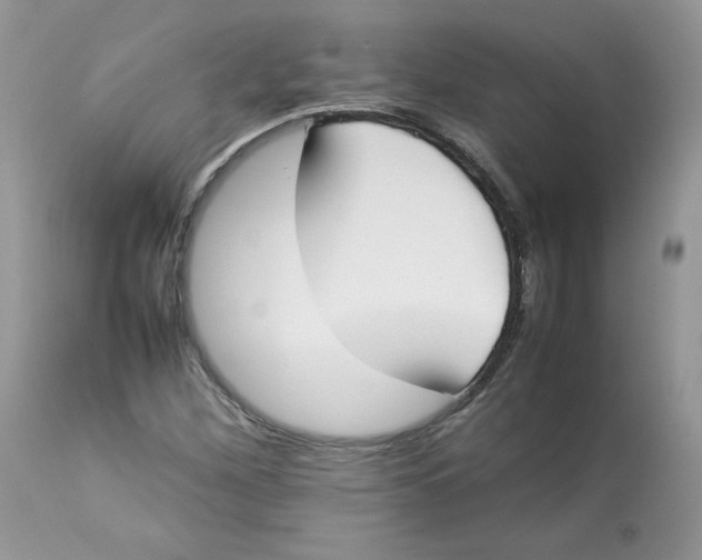 X0000112851260200909111437