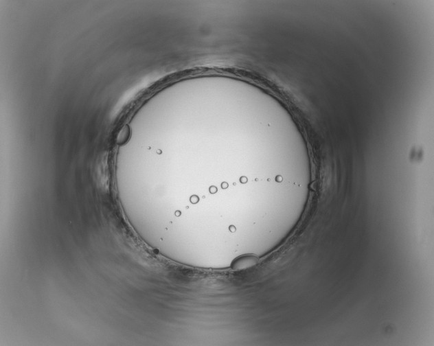 X0000112851262200909111437