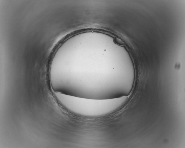 X0000112851264200909111437