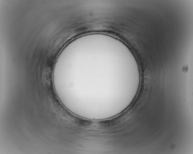 X0000112851265200909111437