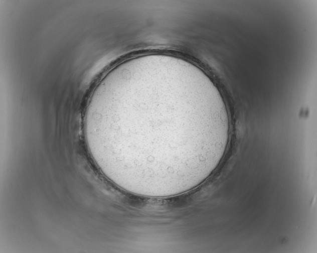 X0000112851267200909111437