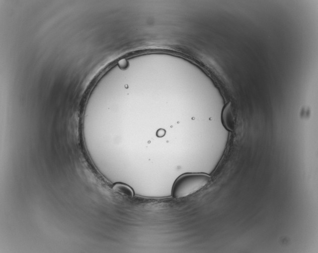 X0000112851268200909111437