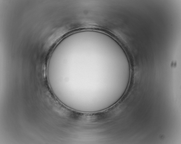 X0000112851269200909111437