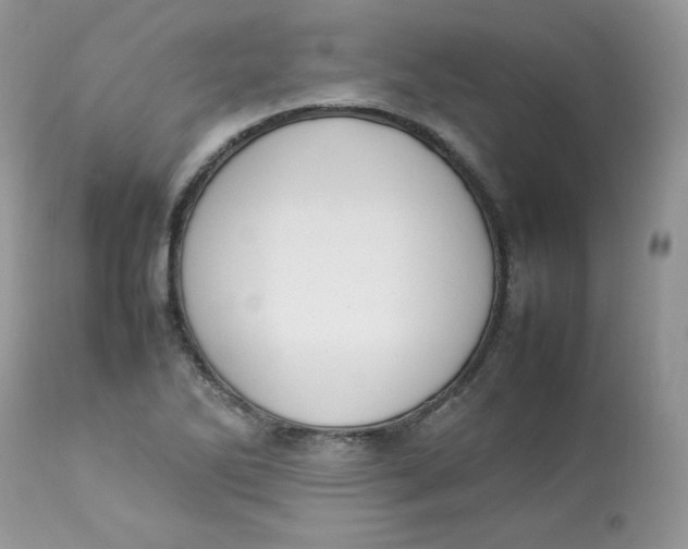 X0000112851270200909111437