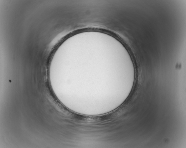 X0000112851271200909111437