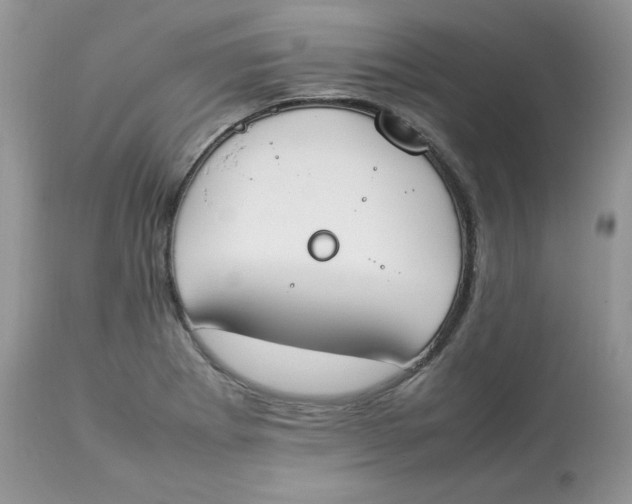 X0000112851273200909111437