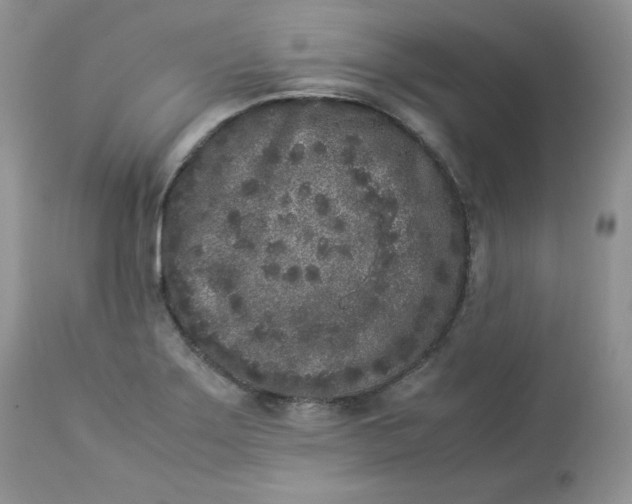 X0000112851275200909111437