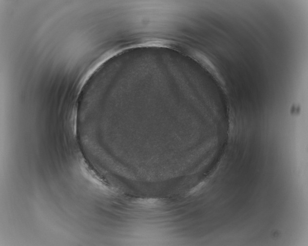 X0000112851276200909111437