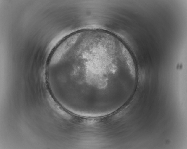 X0000112851278200909111437