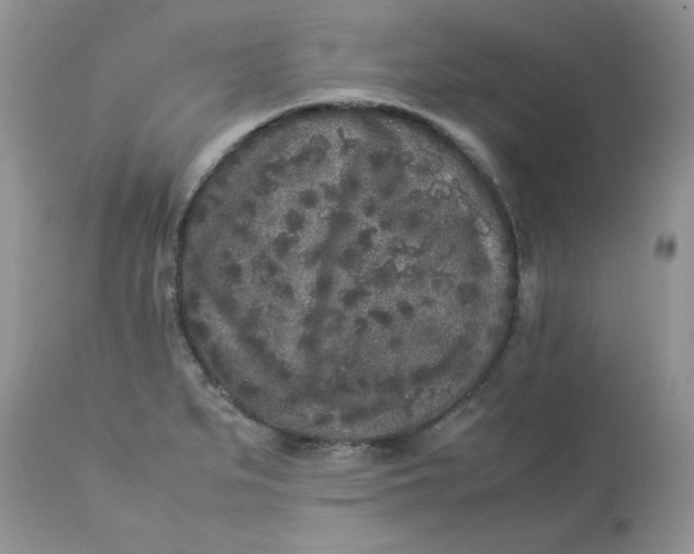 X0000112851279200909111437