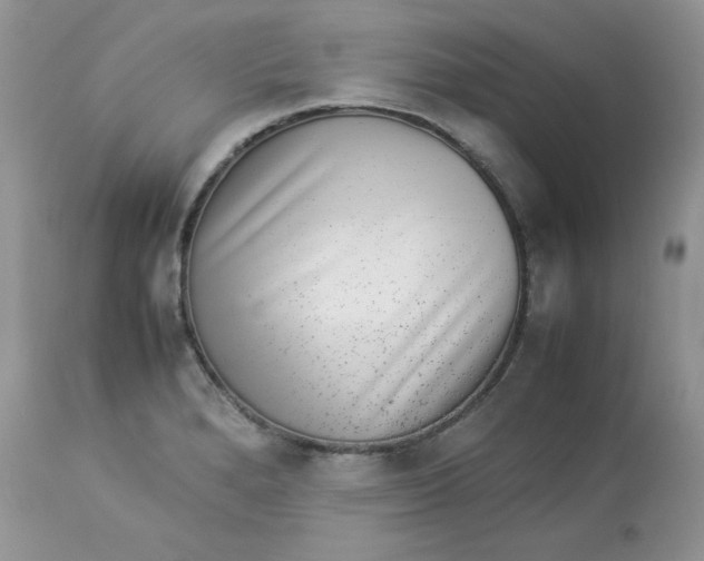 X0000112851280200909111437