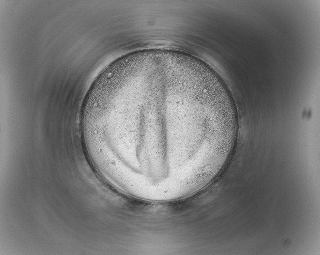 X0000112851283200909111437