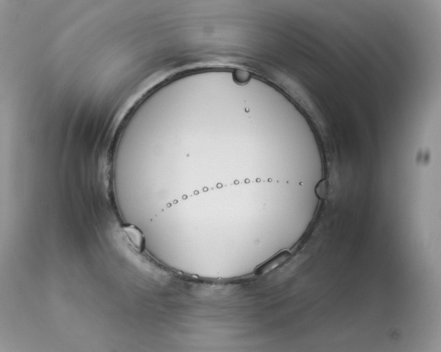 X0000112851284200909111437