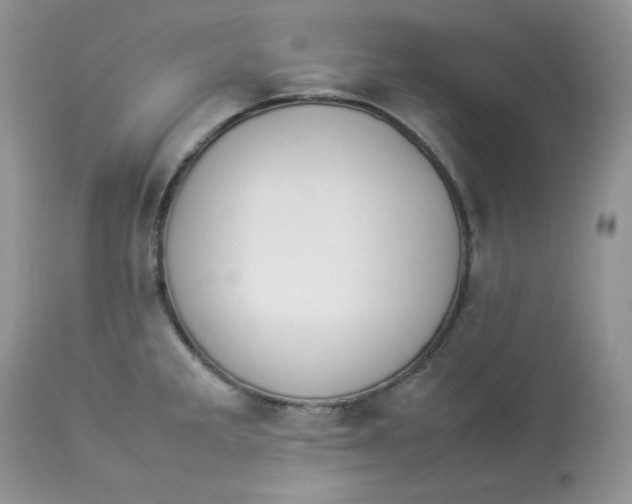 X0000112851285200909111437