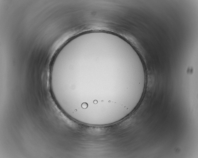 X0000112851286200909111437