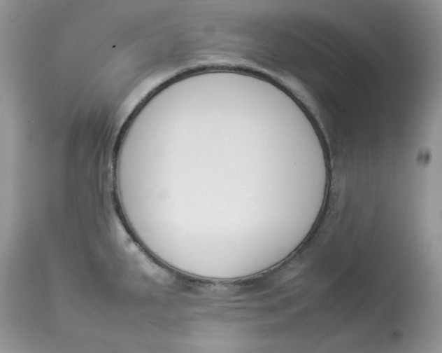 X0000112851287200909111436