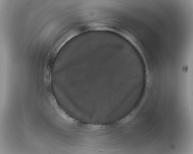 X0000112851289200909111436