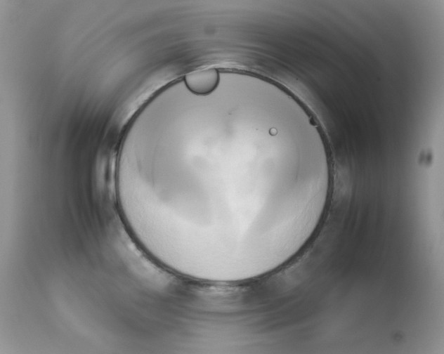 X0000112851290200909111436