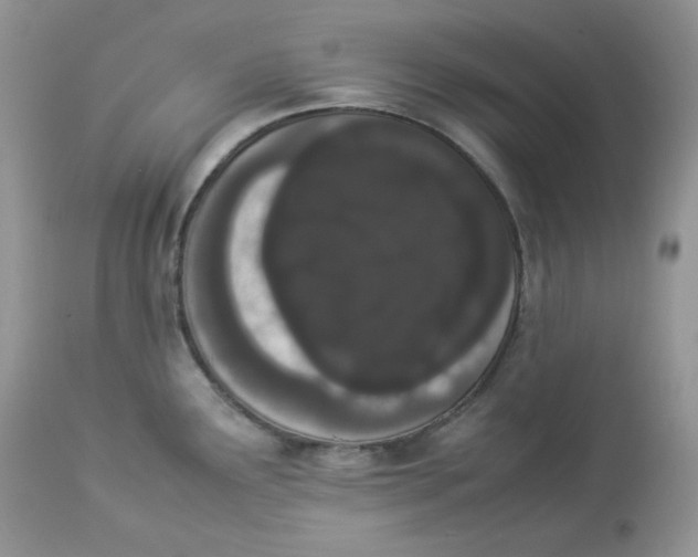 X0000112851291200909111436